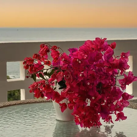 סיבוטה Lns Vip Villas מראה חיצוני תמונה