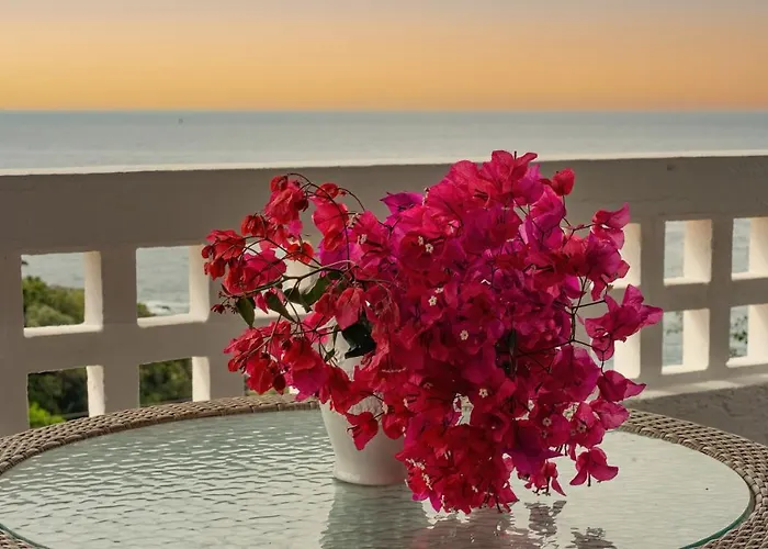 Lns Vip Villas